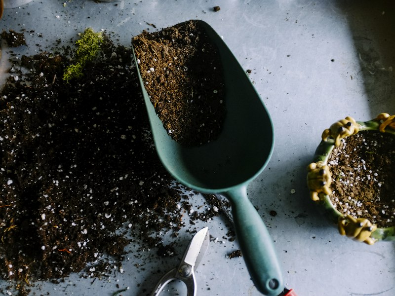 Gardening trowel and pruning scissors beside potting soil