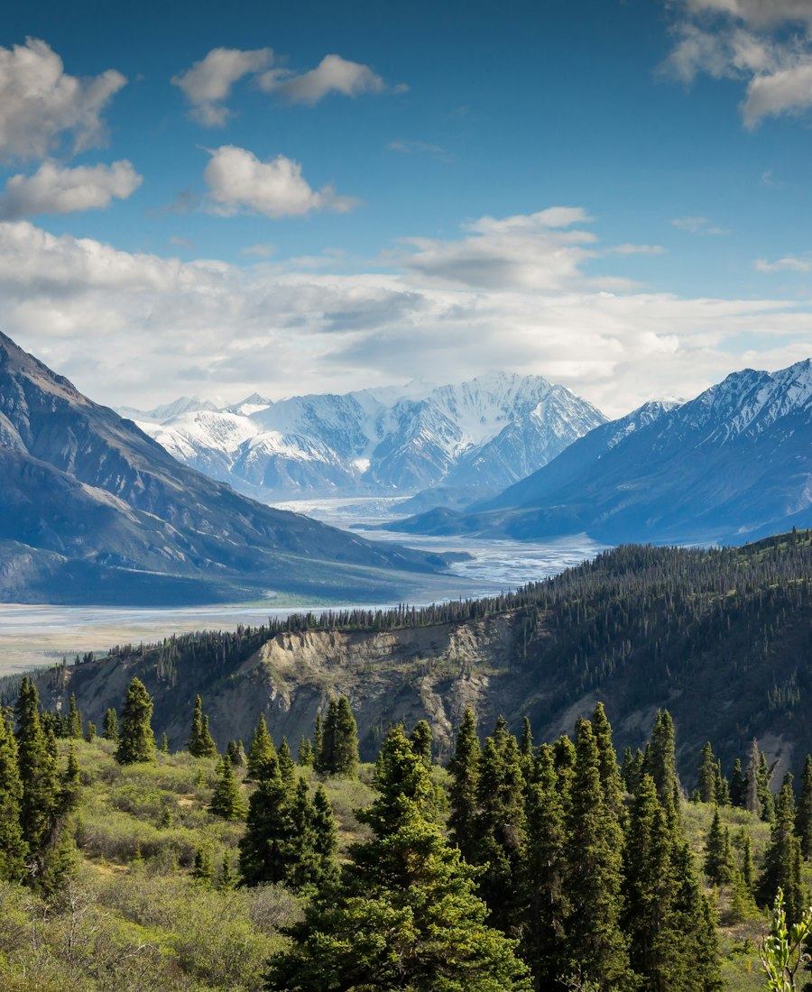 Mountain valley with evergreen forest beneath a blue sky