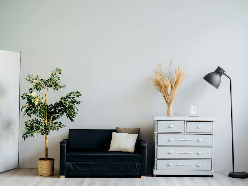 Bright sitting area with a dark loveseat, chest of drawers and indoor plant